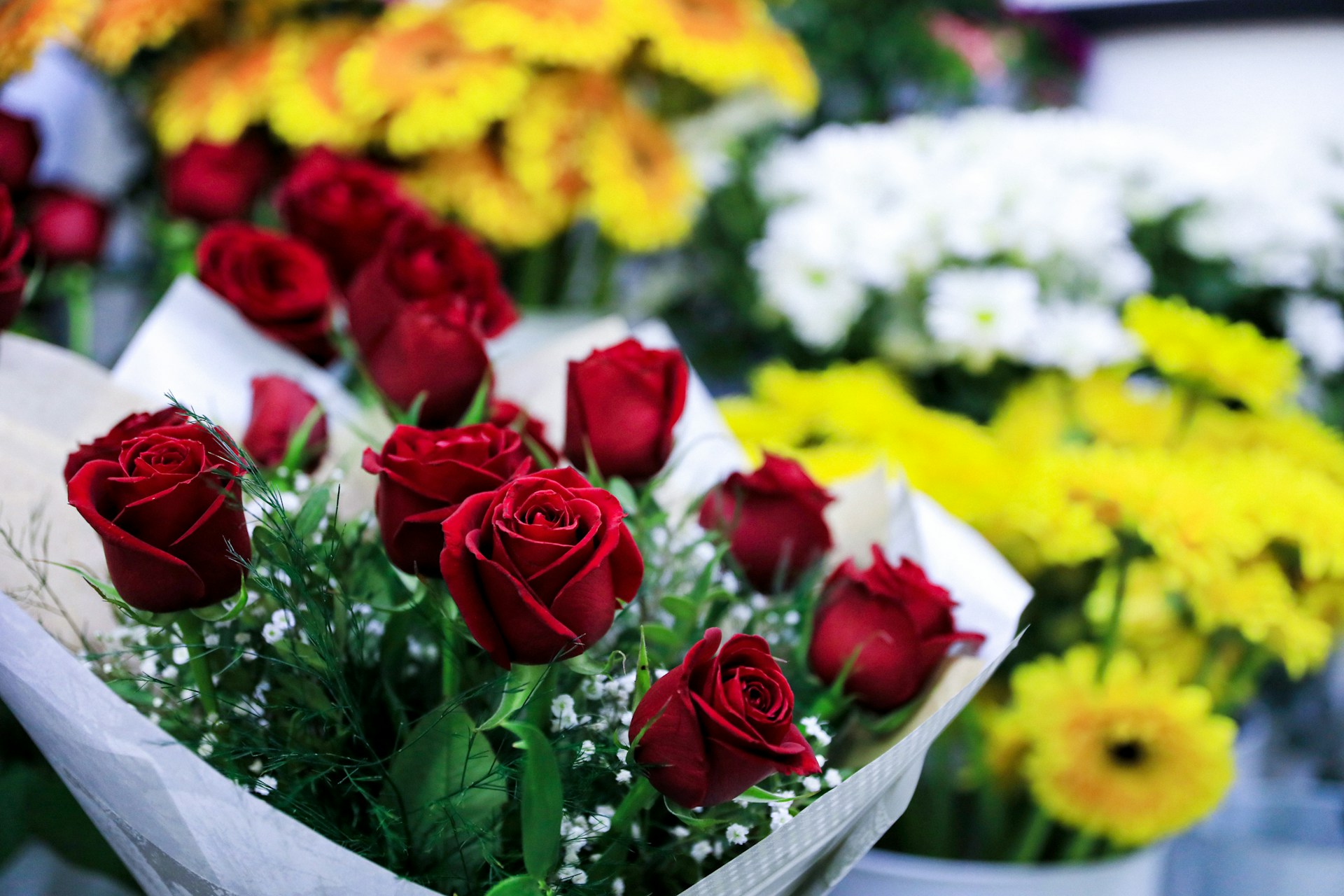 Roses arranged as a gift for a special occasion